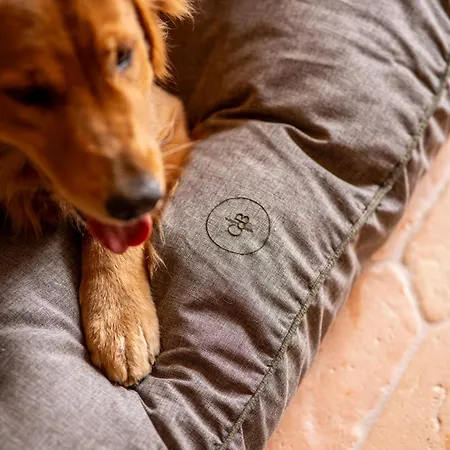 Castiglion Del Bosco, A Rosewood 5* Montalcino