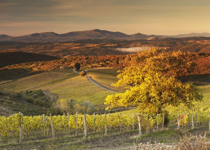Hotel Castiglion Del Bosco, A Rosewood Montalcino
